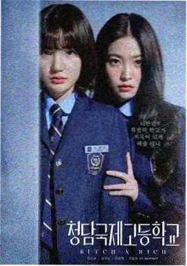 龙王红茶归来
